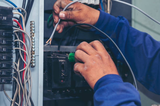 Best Affordable Electrician  in Rockford, MN