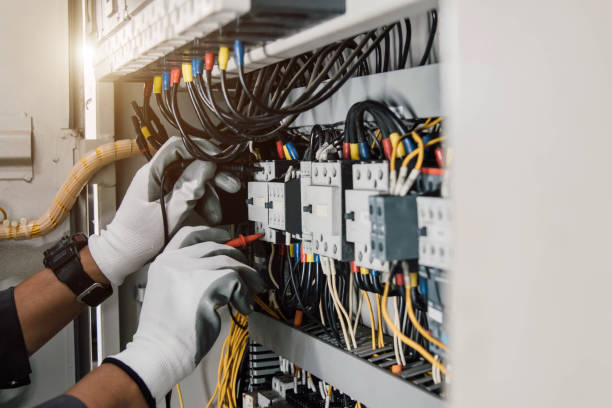 Best Ceiling Fan Installation Electrician  in Rockford, MN